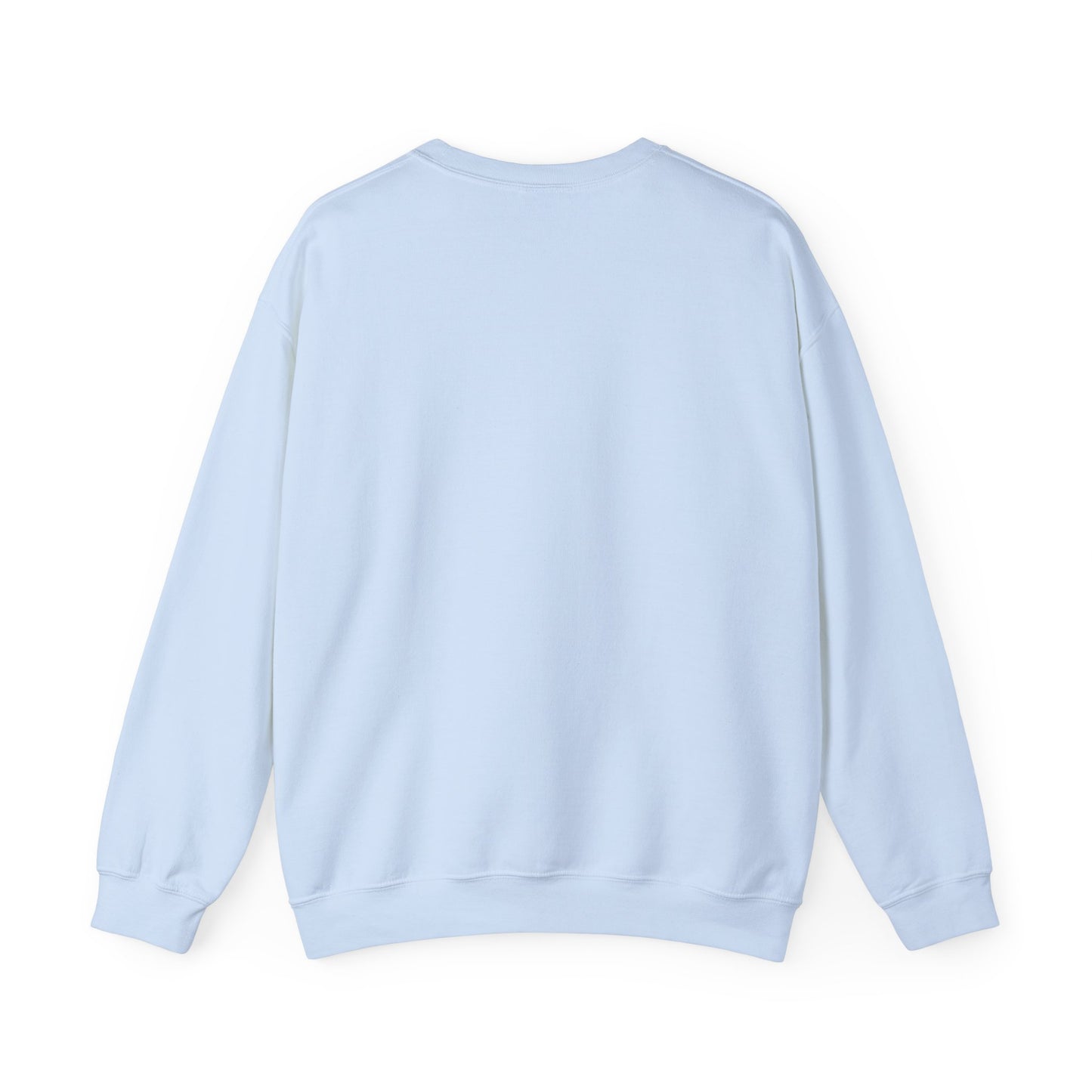 Back of light blue crewneck sweatshirt.