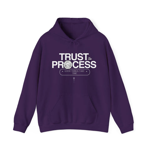 Trust the Process Hoodie, Motivational Sweatshirt, Unisex Cozy Sweatshirt, Gift for Him or Her, Inspirational Apparel