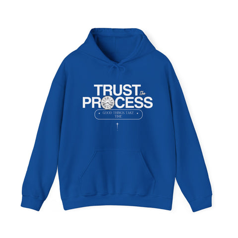 Trust the Process Hoodie, Motivational Sweatshirt, Unisex Cozy Sweatshirt, Gift for Him or Her, Inspirational Apparel