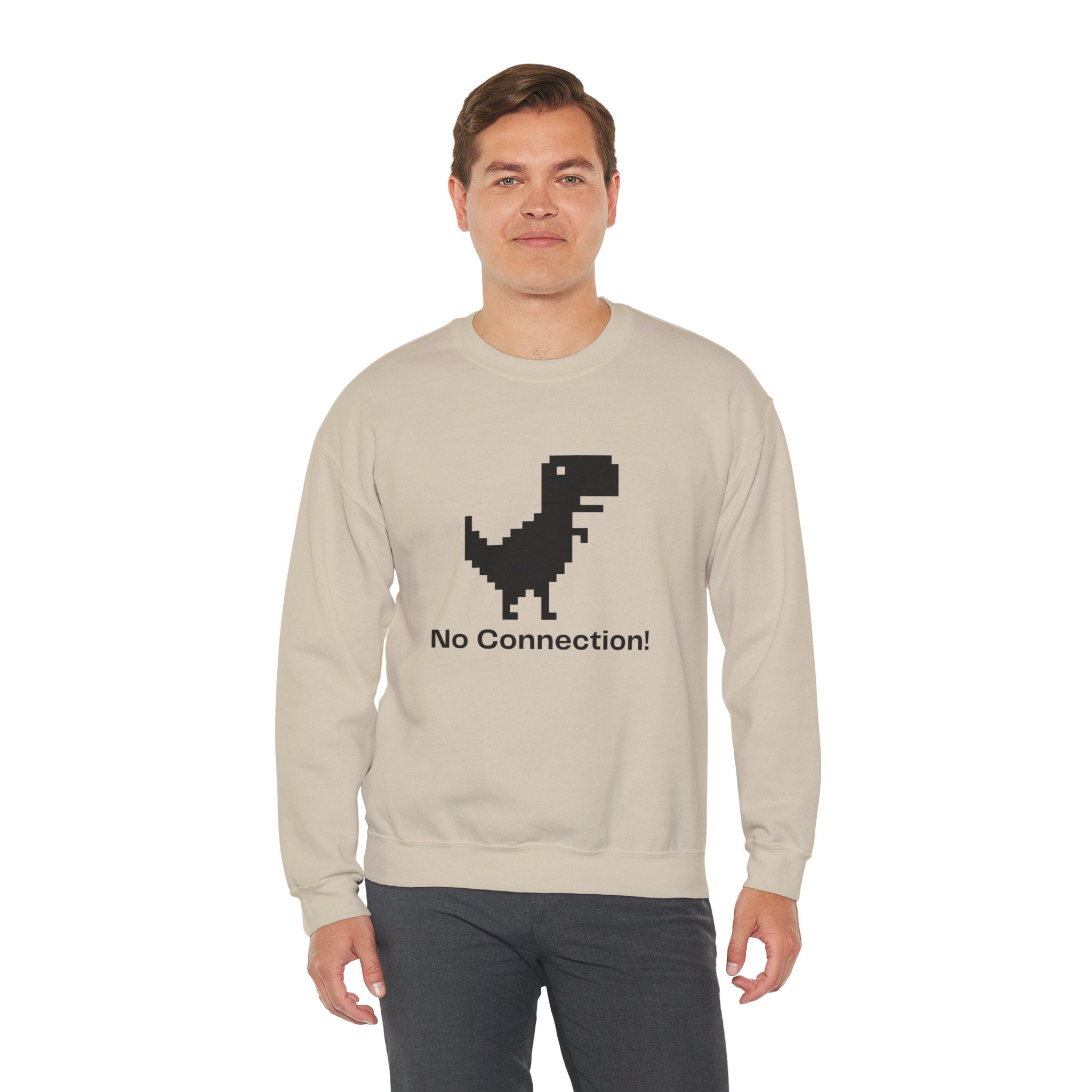 Funny Dinosaur No Connection Sweatshirt, Unisex Crewneck, Gamers Gift, Perfect for Tech Lovers and Online Students, Birthday Gift, Everyday
