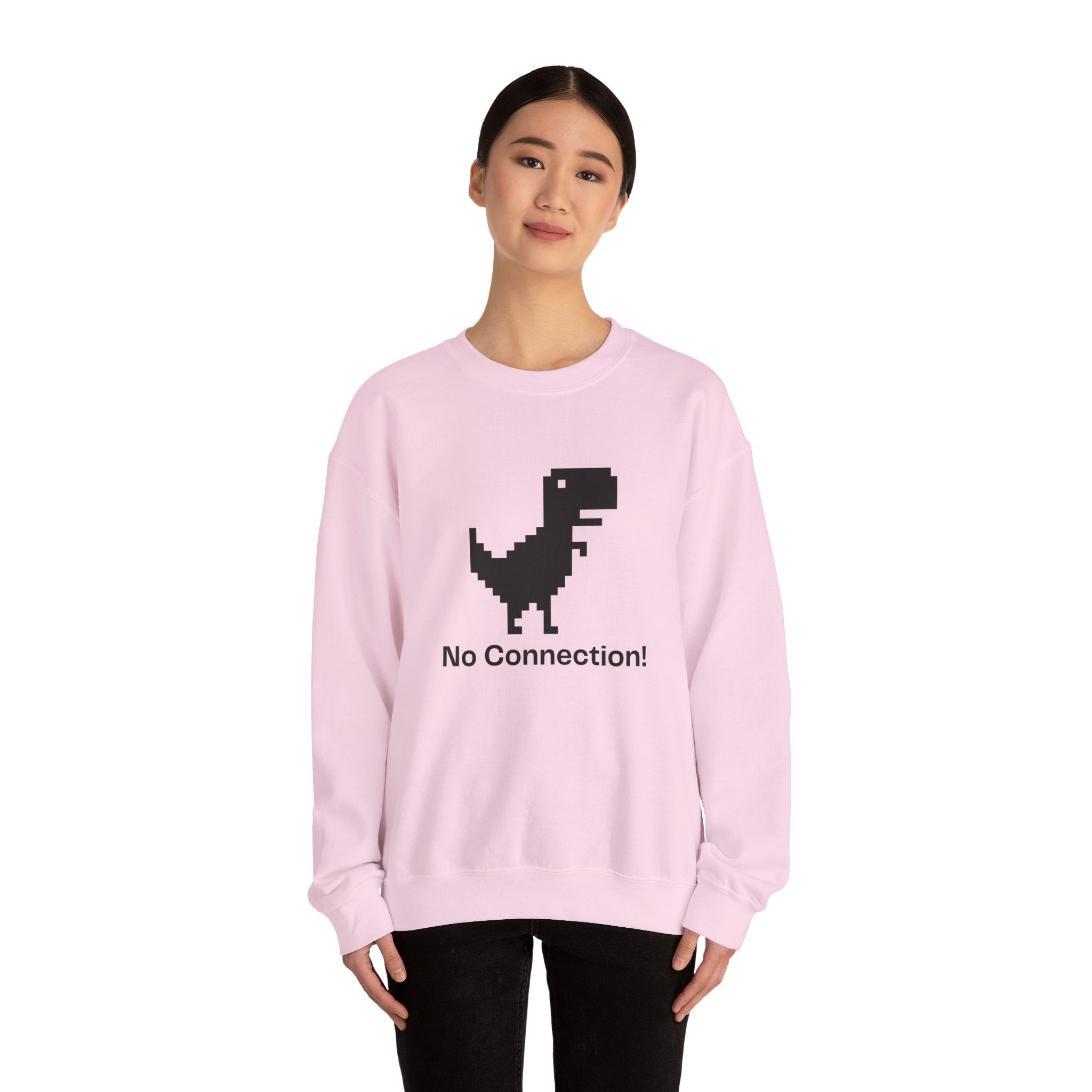 Funny Dinosaur No Connection Sweatshirt, Unisex Crewneck, Gamers Gift, Perfect for Tech Lovers and Online Students, Birthday Gift, Everyday