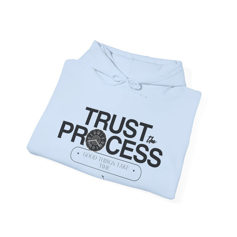 Trust the Process Hoodie, Motivational Sweatshirt, Unisex Cozy Sweatshirt, Gift for Him or Her, Inspirational Apparel