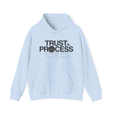 Trust the Process Hoodie, Motivational Sweatshirt, Unisex Cozy Sweatshirt, Gift for Him or Her, Inspirational Apparel
