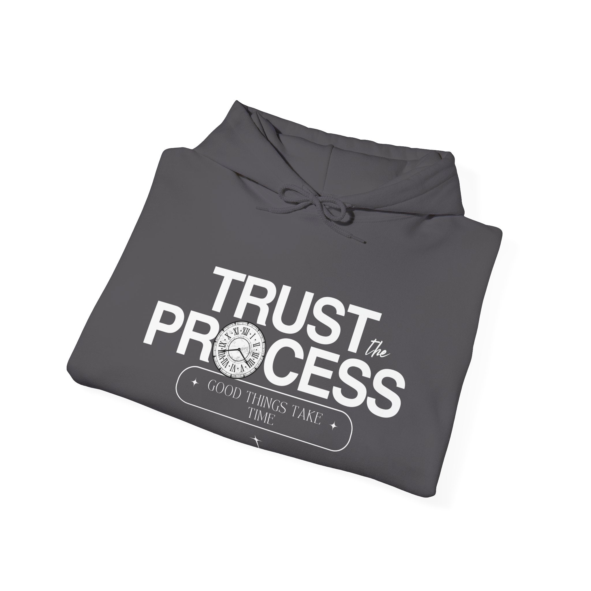 Trust the Process Hoodie, Motivational Sweatshirt, Unisex Cozy Sweatshirt, Gift for Him or Her, Inspirational Apparel