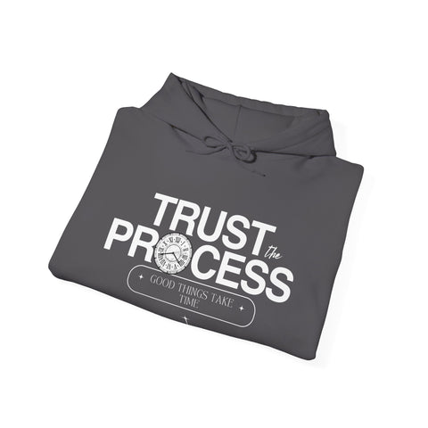 Trust the Process Hoodie, Motivational Sweatshirt, Unisex Cozy Sweatshirt, Gift for Him or Her, Inspirational Apparel