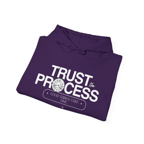 Trust the Process Hoodie, Motivational Sweatshirt, Unisex Cozy Sweatshirt, Gift for Him or Her, Inspirational Apparel