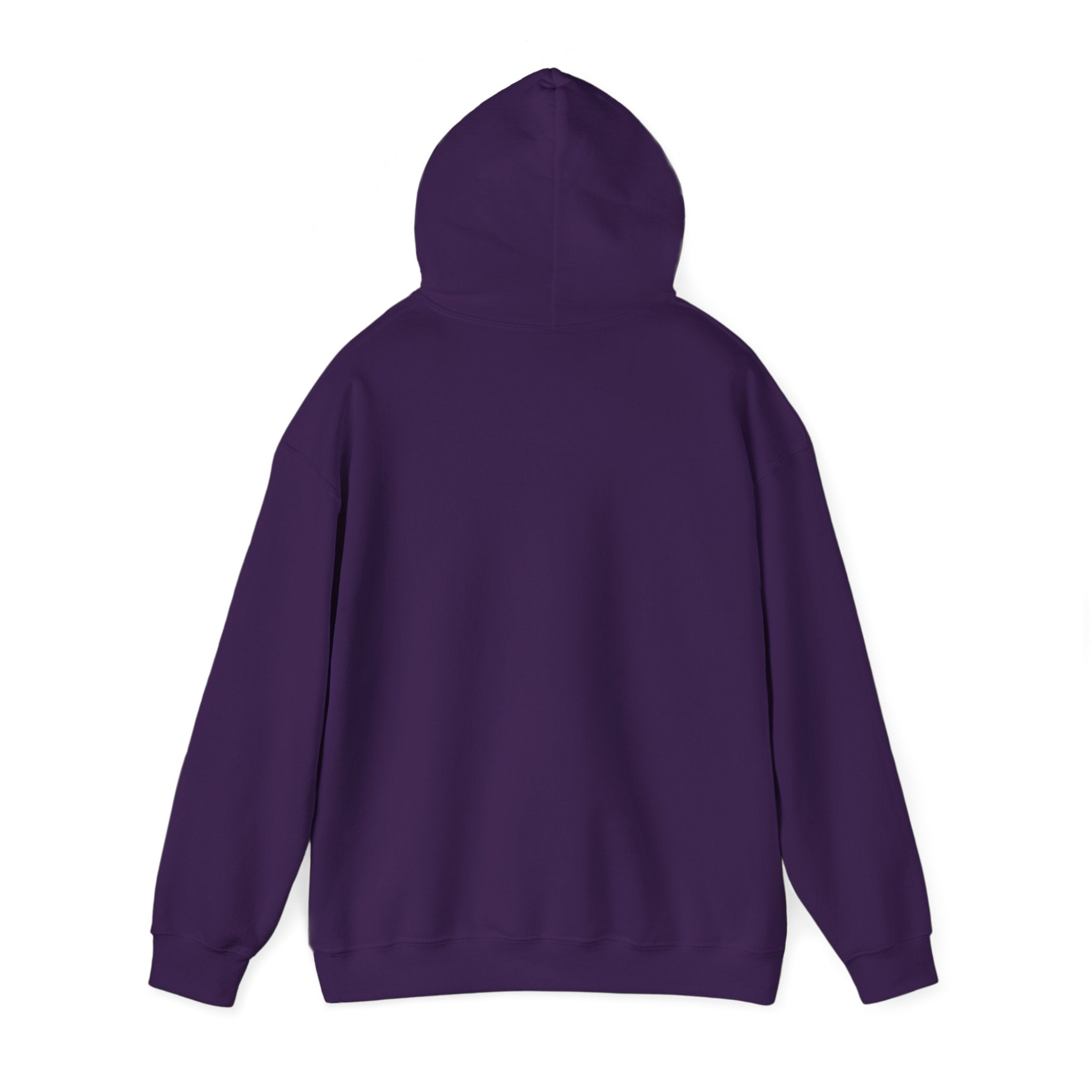 Trust the Process Hoodie, Motivational Sweatshirt, Unisex Cozy Sweatshirt, Gift for Him or Her, Inspirational Apparel