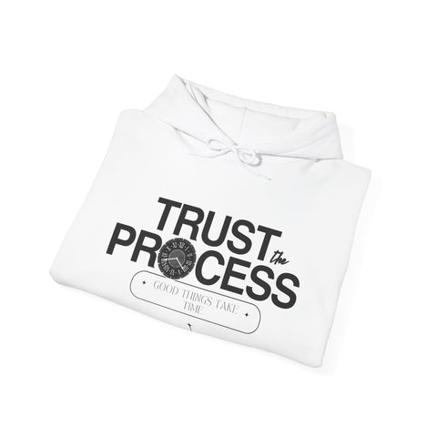 Trust the Process Hoodie, Motivational Sweatshirt, Unisex Cozy Sweatshirt, Gift for Him or Her, Inspirational Apparel