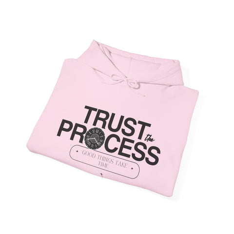 Trust the Process Hoodie, Motivational Sweatshirt, Unisex Cozy Sweatshirt, Gift for Him or Her, Inspirational Apparel
