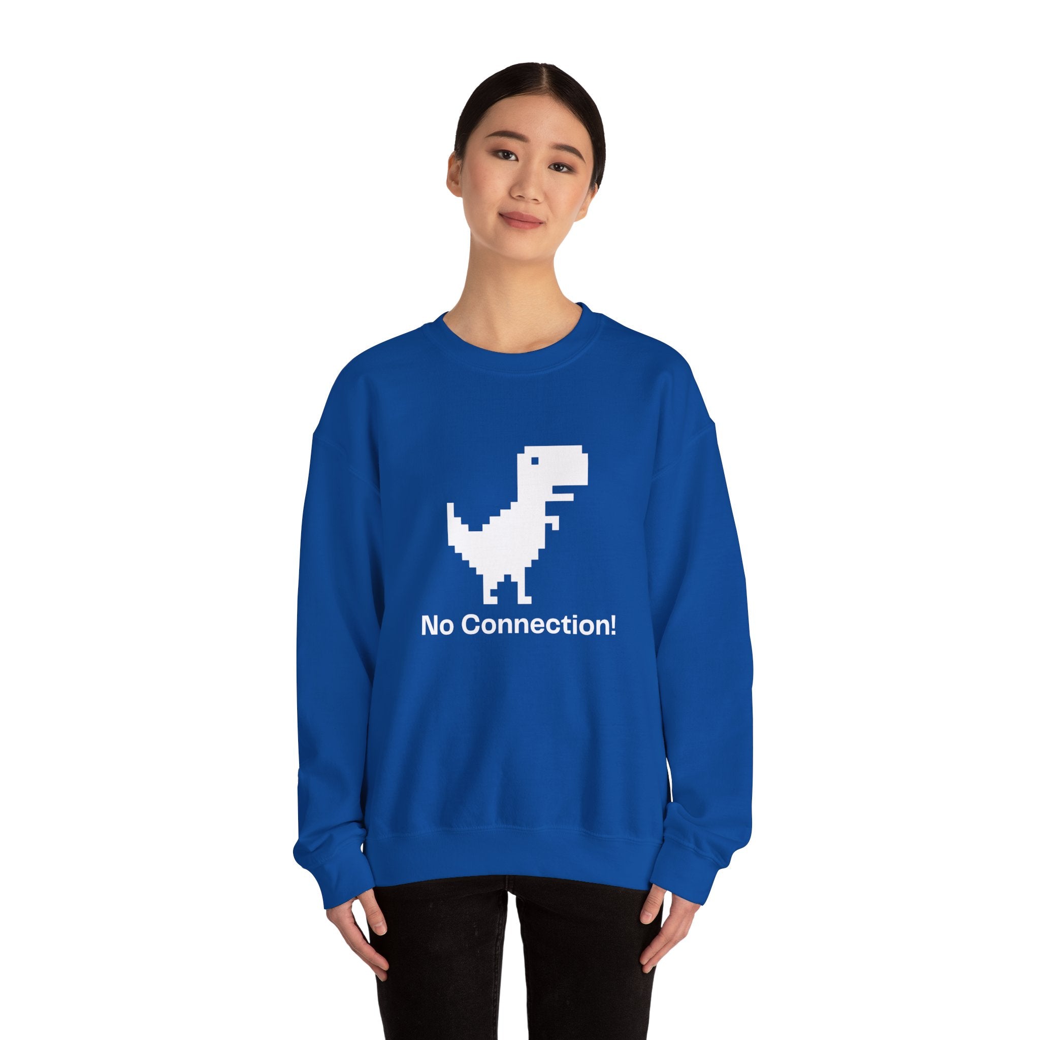 Funny Dinosaur No Connection Sweatshirt, Unisex Crewneck, Gamers Gift, Perfect for Tech Lovers and Online Students, Birthday Gift, Everyday