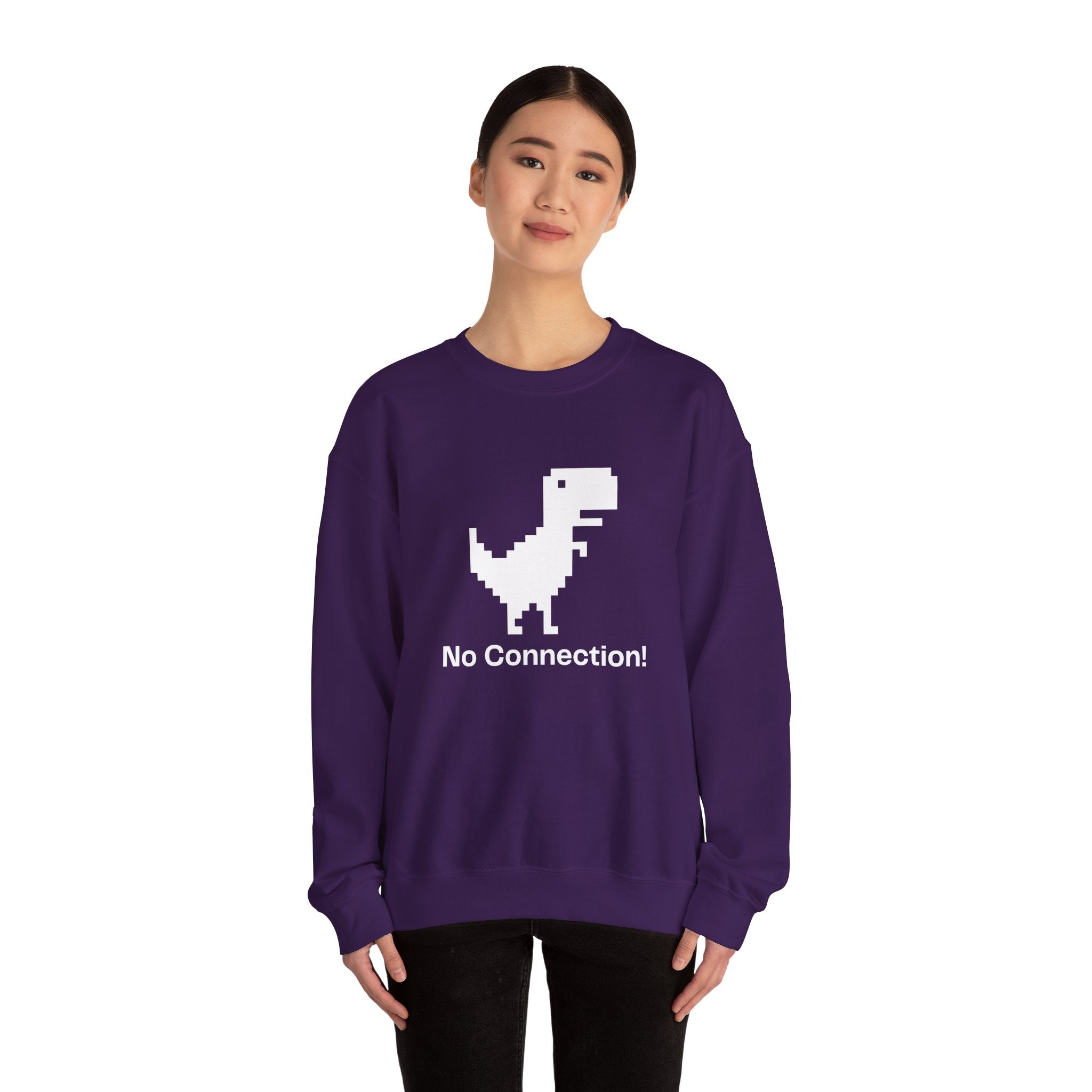Funny Dinosaur No Connection Sweatshirt, Unisex Crewneck, Gamers Gift, Perfect for Tech Lovers and Online Students, Birthday Gift, Everyday