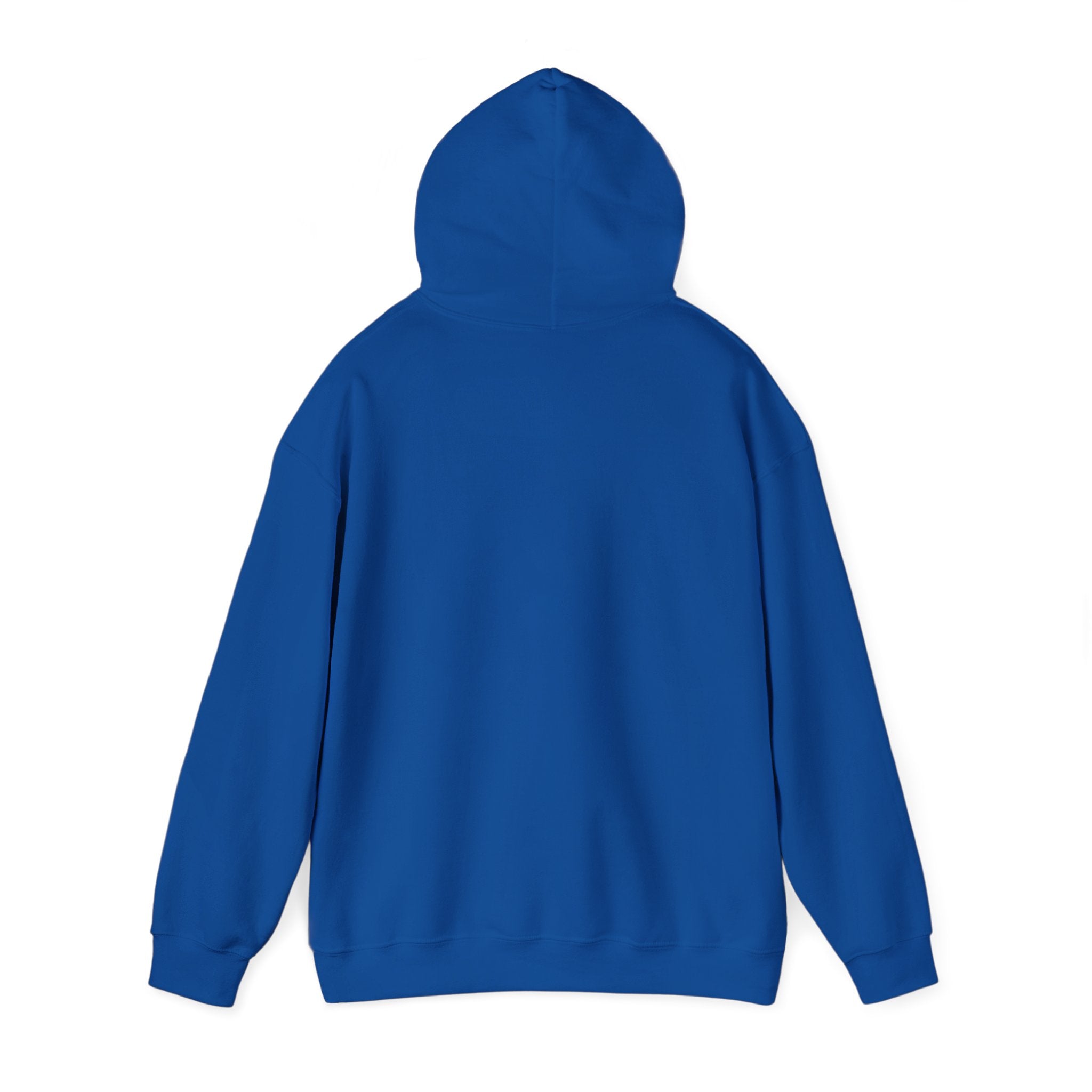 Sorry, Can't Pause This Game Hoodie, Unisex Gaming Sweatshirt, Casual Hoodie