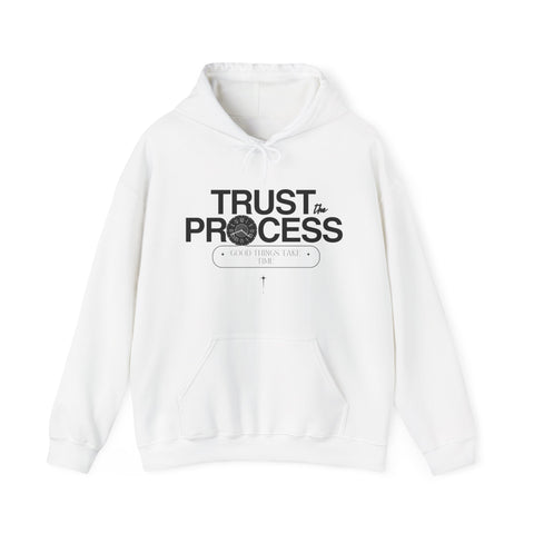 Trust the Process Hoodie, Motivational Sweatshirt, Unisex Cozy Sweatshirt, Gift for Him or Her, Inspirational Apparel