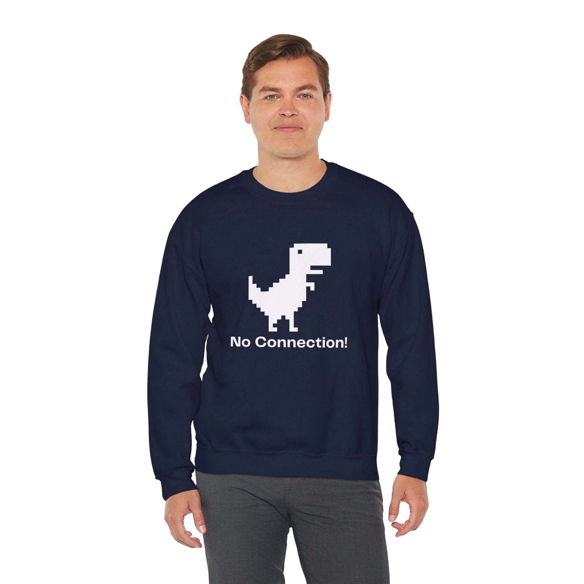 Funny Dinosaur No Connection Sweatshirt, Unisex Crewneck, Gamers Gift, Perfect for Tech Lovers and Online Students, Birthday Gift, Everyday