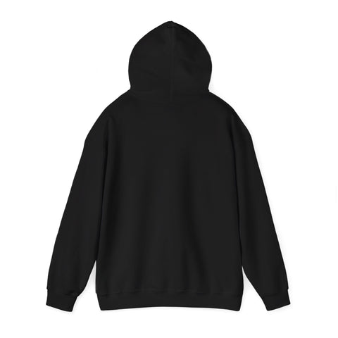 Sorry, Can't Pause This Game Hoodie, Unisex Gaming Sweatshirt, Casual Hoodie