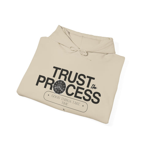 Trust the Process Hoodie, Motivational Sweatshirt, Unisex Cozy Sweatshirt, Gift for Him or Her, Inspirational Apparel