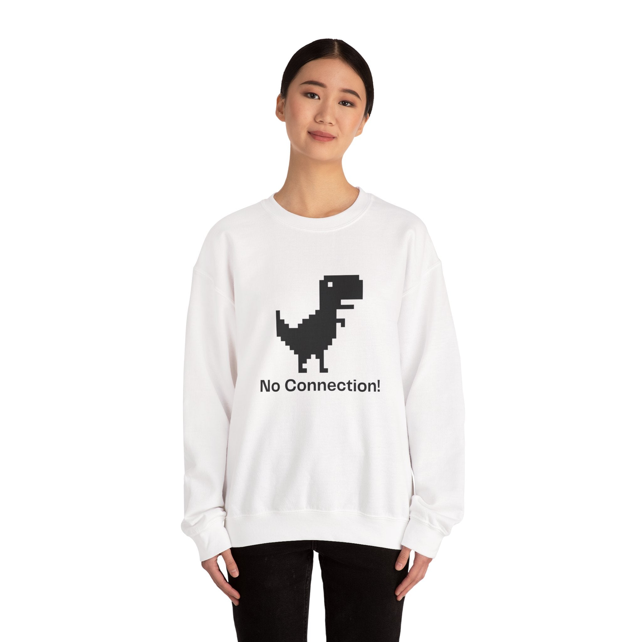 Funny Dinosaur No Connection Sweatshirt, Unisex Crewneck, Gamers Gift, Perfect for Tech Lovers and Online Students, Birthday Gift, Everyday